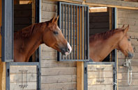 Tranwell stable installation